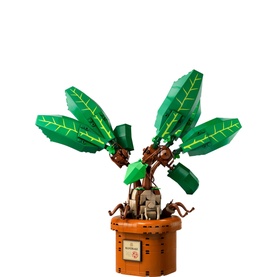 Harry Potter Mandrake