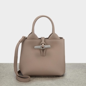 Le Roseau Small Leather Crossbody Bag