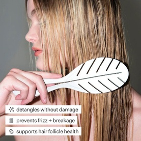 Detangling Brush