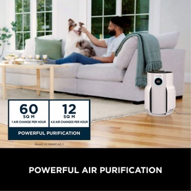 Never Change 5 Air Purifier