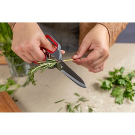 Universal Kitchen Shears