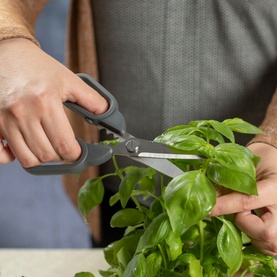 Compact Kitchen Shears
