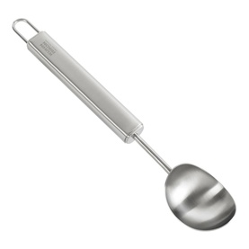 Essential Ice Cream Scoop