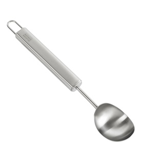 Essential Ice Cream Scoop