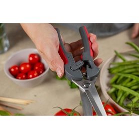 Pro Kitchen Shears