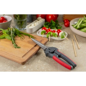 Pro Kitchen Shears