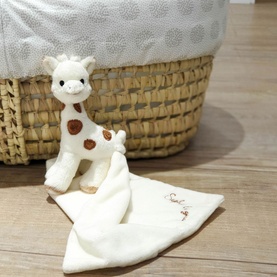 Sophie Cherie Comforter Set