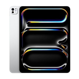 13-inch iPad Pro WiFi 256GB Silver