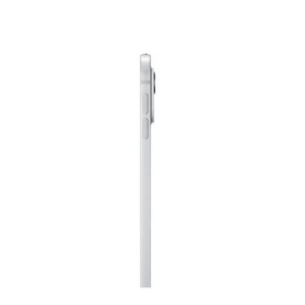 13-inch iPad Pro WiFi 256GB Silver