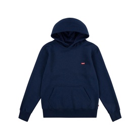 Mini Batwing Logo Hoodie 10-14 Years
