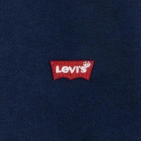 Mini Batwing Logo Hoodie 10-14 Years