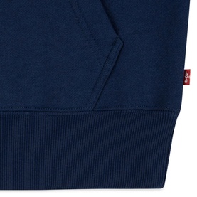 Mini Batwing Logo Hoodie 10-14 Years