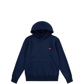 Mini Batwing Logo Hoodie 10-14 Years