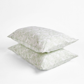 300 Thread Count Sage Magnolia Pillowcase Set