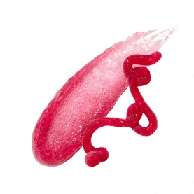 Cherry Dub Superfine Daily Cleansing Face Scrub