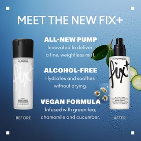 Fix + Setting Spray
