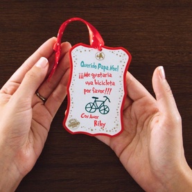 Scout Elf Express Delivers Letters to Santa&reg;