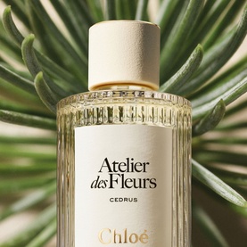 Cedrus Eau de Parfum