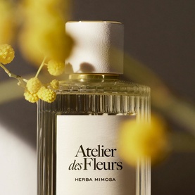 Herba Mimosa Eau de Parfum
