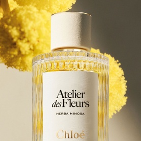 Herba Mimosa Eau de Parfum