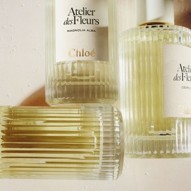 Herba Mimosa Eau de Parfum