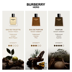 Burberry Hero Parfum