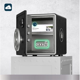 Pro 5 3 Camera Kit 2K Resolution Black