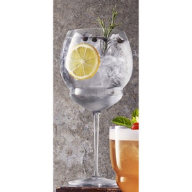 Back Door 20's Gin & Tonic Cocktail Glasses