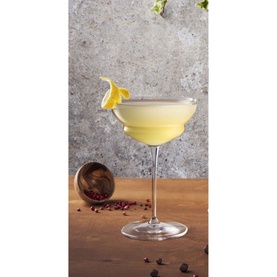 Back Door 20's Hemingway Cocktail Glasses