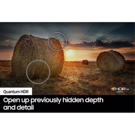 55" Q60D Led QLED 4K Quantum HDR10