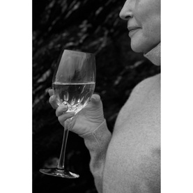 Lismore Essence Medium Wine 475ml Pair