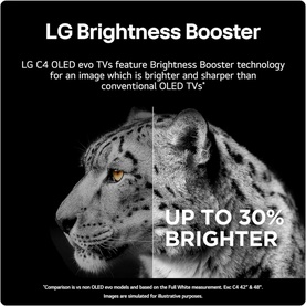 65 Inch C4 4K OLED Smart TV