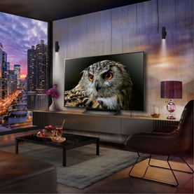 65 Inch C4 4K OLED Smart TV
