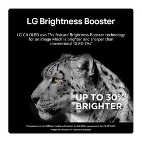 55 Inch C4 4K OLED Smart TV