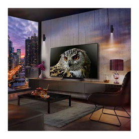 55 Inch C4 4K OLED Smart TV