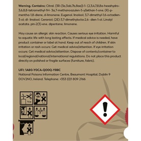 Coriander Seed, Geranium and Vetiver Scented Soy Candle