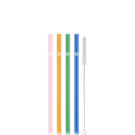 Straight Coloured Glass 4-Piece Straw Set