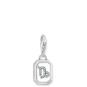 3D Capricorn Star Sign Charm