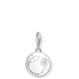 Wishes Come True Disc Charm