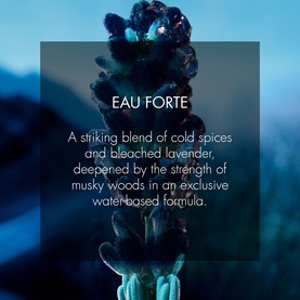 Sauvage Eau Forte Parfum