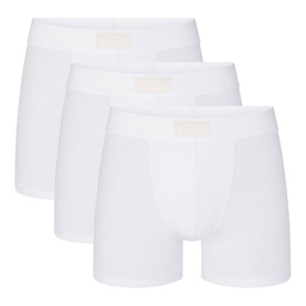 3" Boxer Briefs Three-Pack Chalk