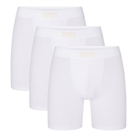 5" Boxer Briefs Three-Pack Chalk