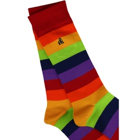 Pride Stripe Socks