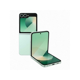 Flip 6 Mint 12GB 256GB