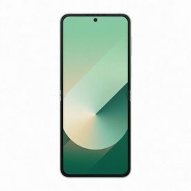Flip 6 Mint 12GB 256GB