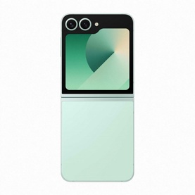 Flip 6 Mint 12GB 256GB
