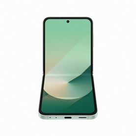 Flip 6 Mint 12GB 256GB