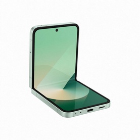 Flip 6 Mint 12GB 256GB
