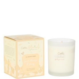 Spiced Mimosa and Orange Scented Candle 240g
