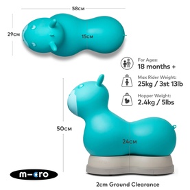 Micro Ride on Space Hopper